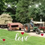 Donna Luft - @dluft1971 - Instagram