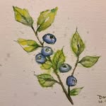 Donna Luk - @dondondrawing - Instagram