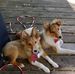 Donna Lundquist - Facebook