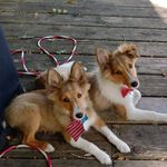 Donna Lundquist - @ril2957 - Instagram