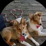 Donna Lundquist - @donna.lundquist - Instagram