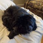 Donna Lunsford - @grammyd66 - Instagram