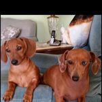 Donna Lunsford - @lunsford1340 - Instagram