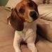 Donna Lusczynski - Facebook