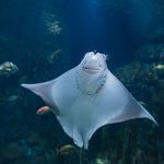 Donna Lyman - @donnalyman1273oe - Instagram