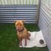 Donna Lyttle - Facebook