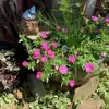 donna.lyttle - @donna.lyttle - TikTok