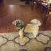 Donna Mabe - Facebook