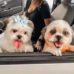 Donna Mabelle - @donnamabelle - Instagram