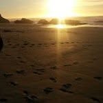 Donna Mabery - @donnamabery - Instagram