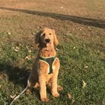 Donna Mac - @donnamac_309 - Instagram