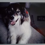 Donna MacDougall Bennett - @dbennett067 - Instagram