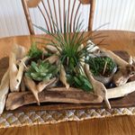 Donna MacFarlane - @margareedp - Instagram