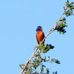 Donna Mackiewicz - @naturequeen2020 - Instagram