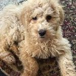 Donna Mackin - @donna.mackin - Instagram