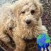 Donna Mackin - Facebook