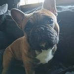 donna macrae - @donnamm123 - Instagram