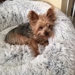 Donna MacRae-Daigle - @macraedaigle - Instagram