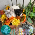Donna Kay Madden - @donnamadden23 - Instagram