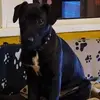 Donna Madden - @donna.madden34 - TikTok