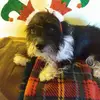 donnamadden495 - @donnamadden495 - TikTok