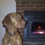 Donna Maddocks - @kirkman.maddocks - Instagram