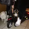 Donna Maestas - @donna.maestas7 - TikTok