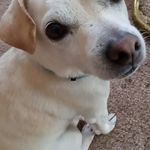 Donna Maggard - @donnamaggard182 - Instagram