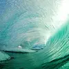 Ocean_Life0106 - @donnamaggio - TikTok