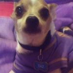 Donna Sue Magner-Lay - @donnamagner - Instagram