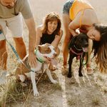 Donna Magness Geib - @magnessgeib - Instagram