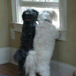 Donna Magness Mobley - @mobleymom - Instagram