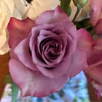 Donna Magoon - @djm11382 - Instagram