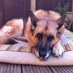 Donna Mahoney - @donna.mahoney.547 - Instagram