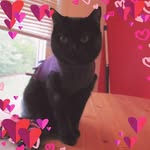 Donna Mahoney - @donna.mahoney.90 - Instagram