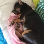 Donna Maidens - @maidensdonna - Instagram