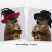 Donna Maines - Facebook