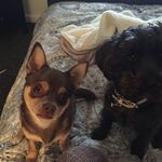 Donna Maines - @donna.maines.39 - Instagram