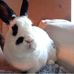 Donna Mairs - Facebook