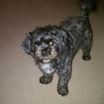 Donna Majewski - @doem42 - Instagram