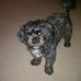 Donna Majewski - Facebook