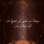 dona malak - @donamalak - Instagram