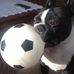 Donna Maliszewski - Facebook