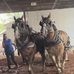 Donna Malloy - Facebook