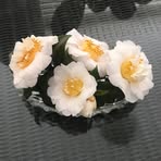 Donna Mallinder - Facebook