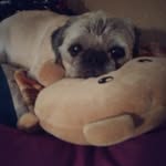 Donna Mallozzi - @libra10_14 - Instagram