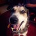Deanna Malmborg - Facebook