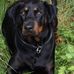 Donna Malmborg - Facebook