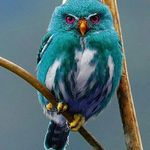 Donna Malpass Petty - @dpetty1595 - Instagram