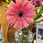 Donna Maly - @maly.donna - Instagram